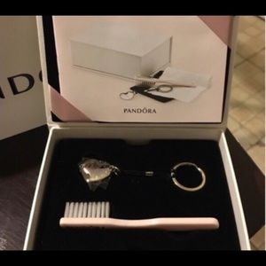 Pandora cleaning kit